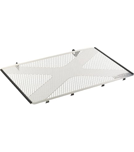 Amazon | ビートジャパン ラジエターガード(シルバー) ZRX1200 DAEG